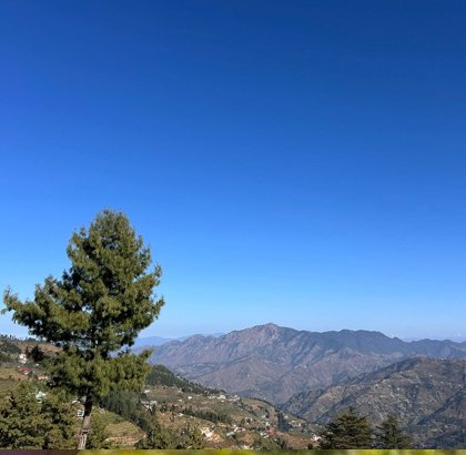 Why The Orchard Retreat Is the Perfect Family Stay in Shimla