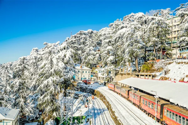 Shimla